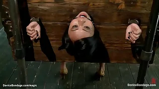 Locked in ditch stock and back arched