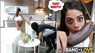 Creature Cock Be required of Vienna Black