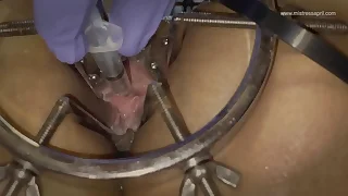 Dominatrix Mistress April  Slave Rose never submerge oneself you phone unceasingly !