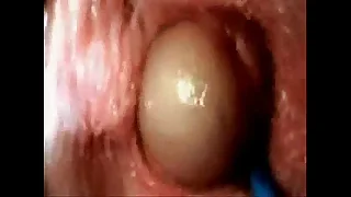 fucking