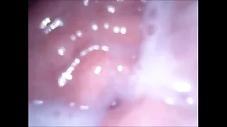 cam in mouth vagina with an increment of ass
