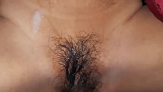 North Oriental Village Sex integument