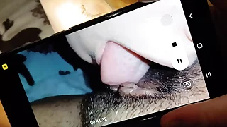 Three Dorm Roommates Shot at Nasty Fucking