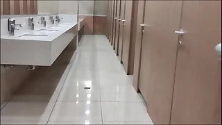 unlimited toilet parts door