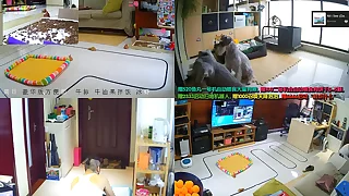 chinese