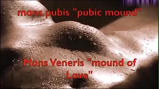 The History Be expeditious for The Ancient Goddess Gape  The Aftermath Episode 11