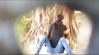 hidden cam lovers kissing in park pellicle