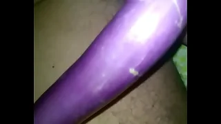 shonu brinjled INDIAN