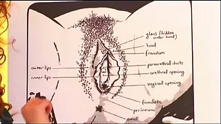 The art of cunnilingus