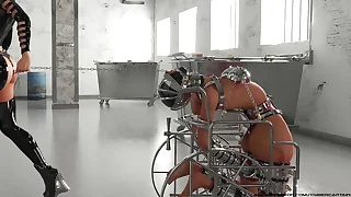 3D BDSM Talisman Compilation