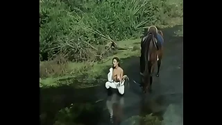 shemale