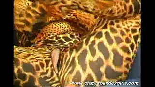 Crazy spandex girl raillery sex